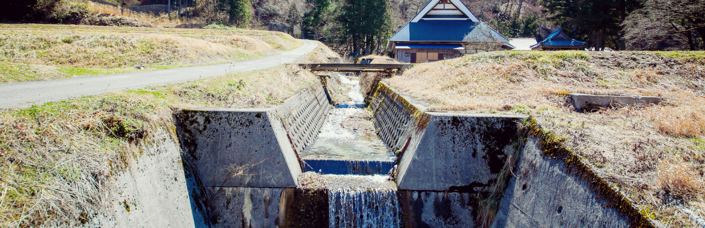 恋する空家プロジェクト